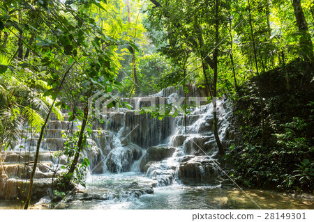 Waterfall in Mexico 28149301