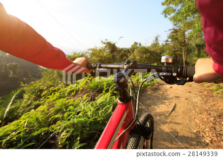 cyclist hands riding mountain bike on forest trail cyclist hands riding mountain bike on forest trail 28149339