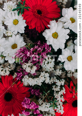 The background image of the colorful flowers 28149349