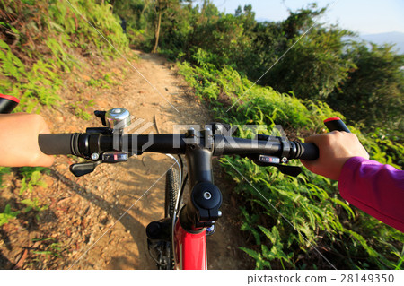 cyclist hands riding mountain bike on forest trail 28149350