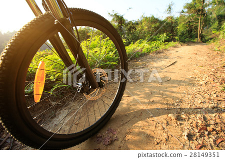 riding mountain bike on forest trail 28149351