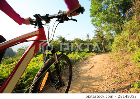 cyclist hands riding mountain bike on forest trail 28149352