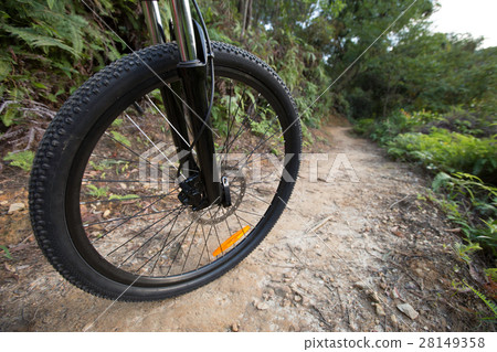 riding mountain bike on forest trail 28149358