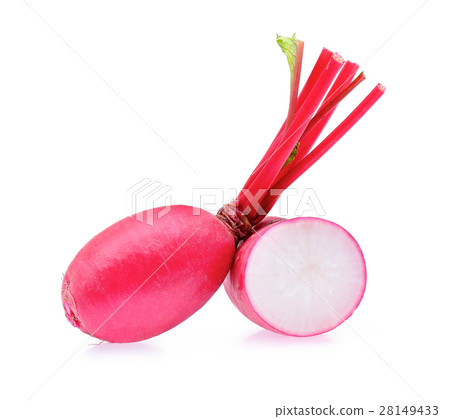 Red radish isolated on white background 28149433