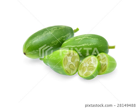 Ivy gourd, Coccinia grandis Ivy gourd, Coccinia grandis 28149488