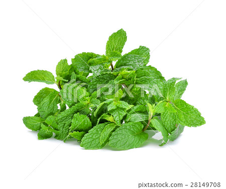 圖庫照片: raw mint leaves isolated on white background