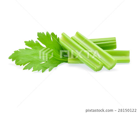 Celery isolated on white background 28150122