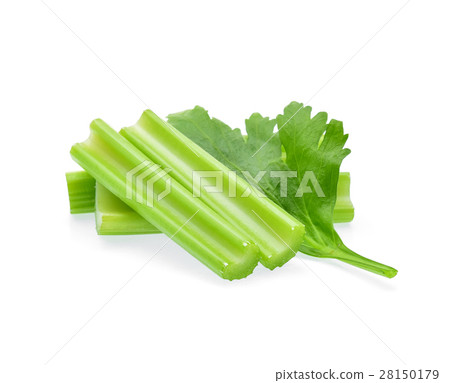 Celery isolated on white background 28150179