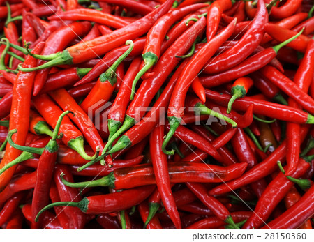 red chili pepper red chili pepper 28150360