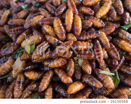 Fried insects, Thai food at market. Fried insects, Thai food at market. 28150568