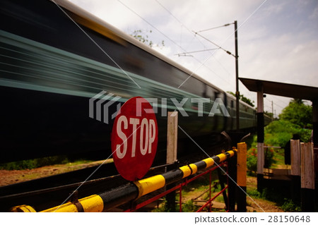 Train in India 28150648