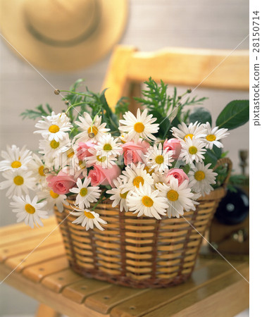 瑪格麗花 帽子 28150714