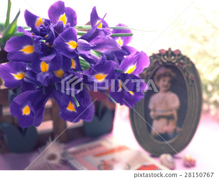 Alice Morning Light Alice Morning Light 28150767