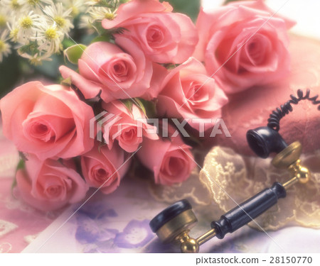 Rose flower 28150770