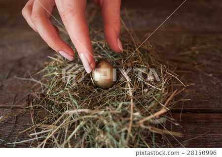 Putting one golden egg into straw nest closeup 28150996