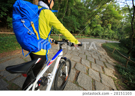 young woman riding mountain bike on forest trail 28151103