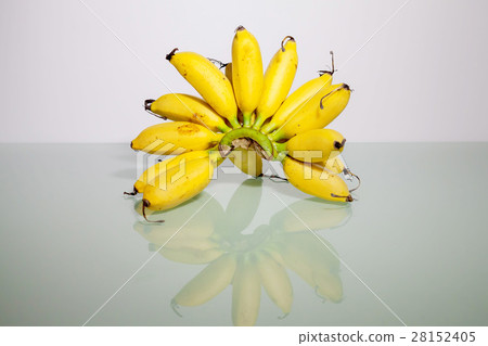 Yellow real banana for product photograhy Yellow real banana for product photograhy 28152405