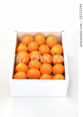 Mature gold casual chance Mature gold casual chance 28155394