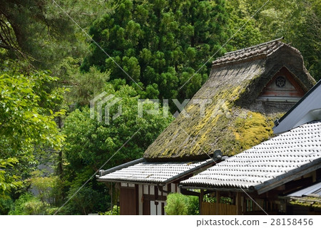 Roof of the streets of the Atago Highway 28158456