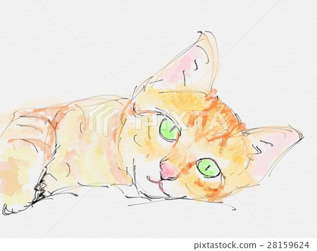 Cat Illustration Cat Illustration 28159624