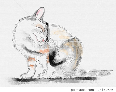 Cat Illustration Cat Illustration 28159626
