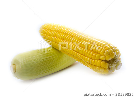 Corn isolate photo on white background. 28159825
