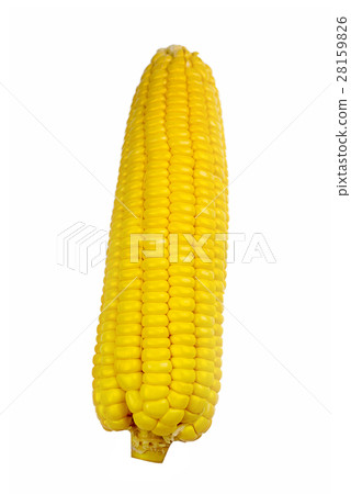 Corn isolate photo on white background. 28159826