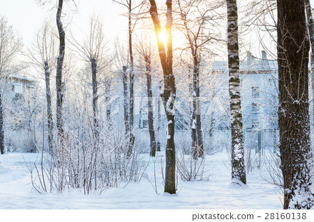 Winter Sunny day in snow Park Winter Sunny day in snow Park 28160138