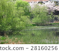 Pond 1 28160256