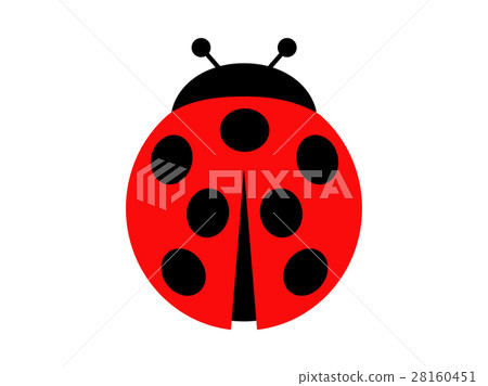 Ladybug Ladybug 28160451