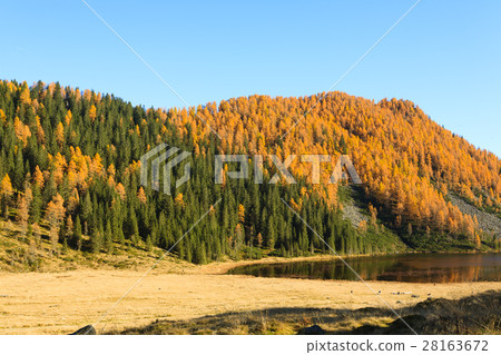 autumn panorama from mountain lake autumn panorama from mountain lake 28163672