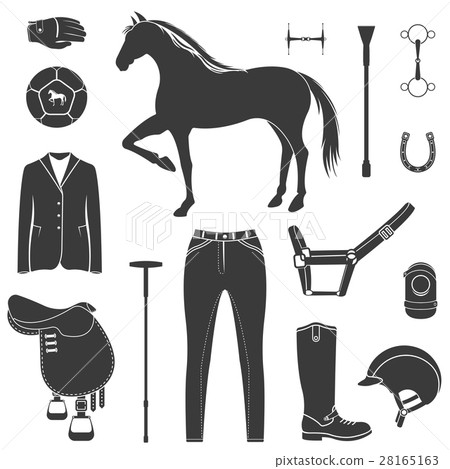 Vector set of icons polo Vector set of icons polo 28165163