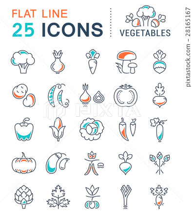 Set Vector Flat Line Icons Vegetables 28165167