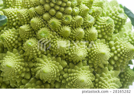 closeup of romanesco cauliflower cabbage texture closeup of romanesco cauliflower cabbage texture 28165282