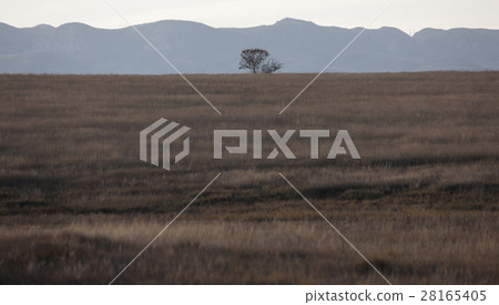 Badlands Canada Saskatchewan 28165405