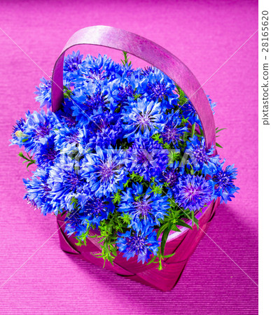 cornflowers in a basket cornflowers in a basket 28165620