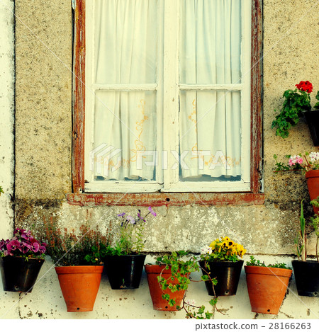 Window  flower pots european village 28166263