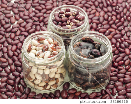 Beans in a bottle 28166316