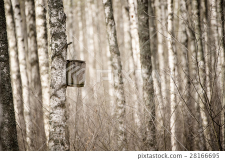 Nesting box in the forest Nesting box in the forest 28166695