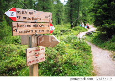 Pointer on the trail in Alps Pointer on the trail in Alps 28166702