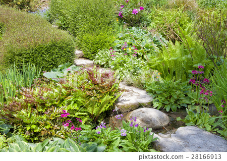 Stepping stones in a summer English cottage garden Stepping stones in a summer English cottage garden 28166913