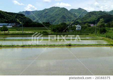 稻田米南會津 28168375