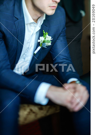 elegant groom elegant groom 28169049