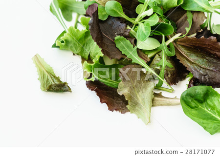 salad leaves 28171077
