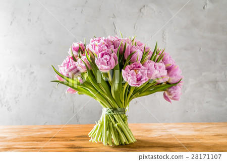 pink tulips pink tulips 28171107
