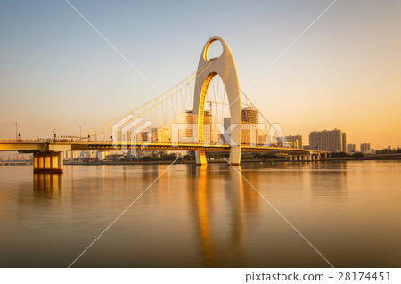 Modern bridge in Zhujiang River  28174451