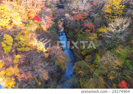 Fukushima ken Nishinogu boardwalk (November) 28174904