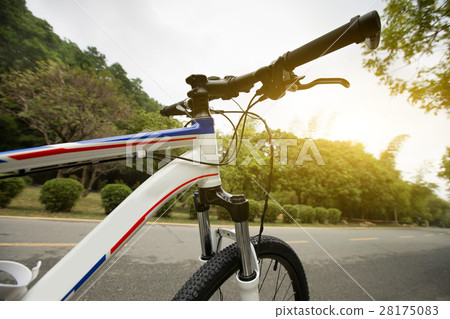 riding mountain bike at forest trail 28175083