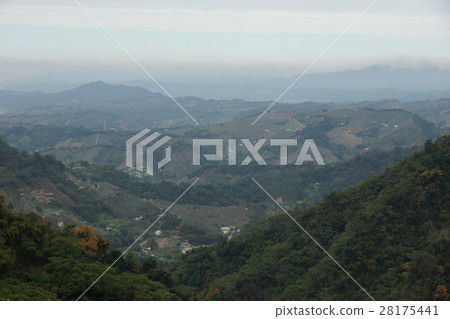 山景 28175441