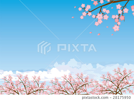 櫻桃藍天圖像例證 28175950